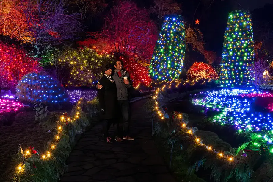 Sightseeing Tours: Magic of Christmas at The Butchart Gardens