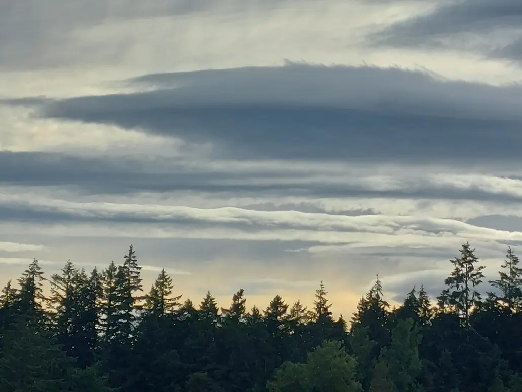 The Magic of Nature presented by Thomas Hyslop