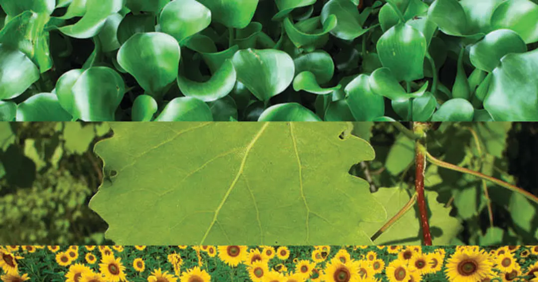 FREE Workshop: Understanding and Addressing Soil Contamination