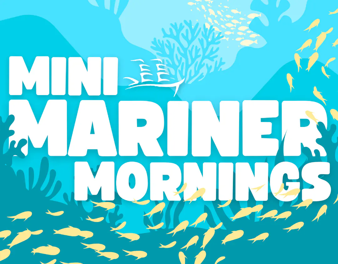 Mini Mariner Mornings – Salmon on the Run