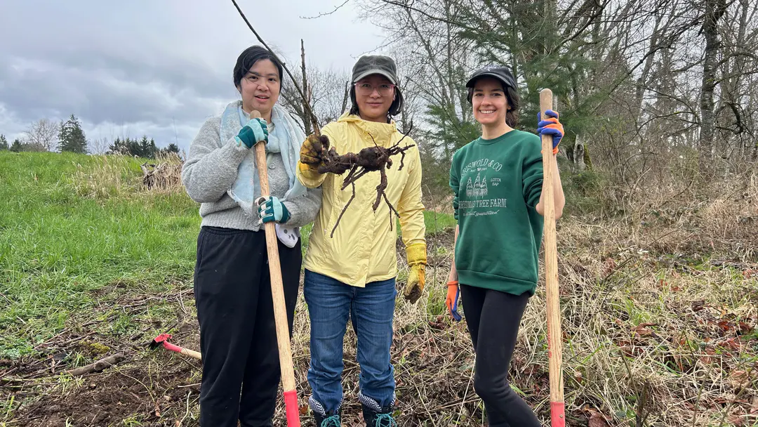 Make Friends & Remove Invasive Blackberry & Broom at Murray's Pond Park, Colwood