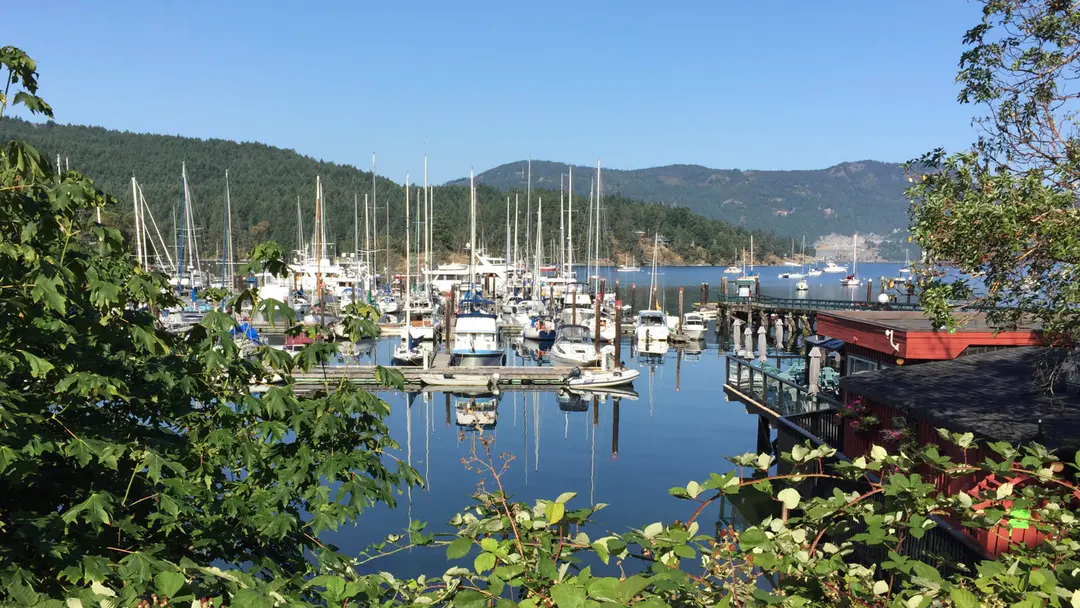 Join us for a 10 km walk in Brentwood Bay