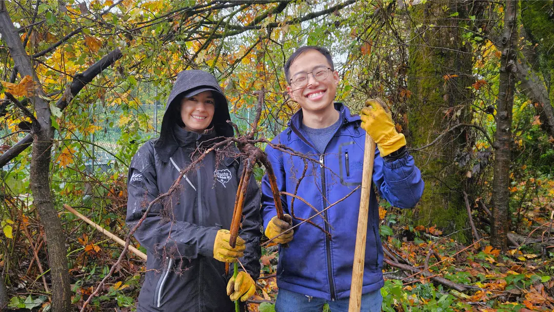 Make Friends & Remove Invasive Plants in Colwood Creek Park!