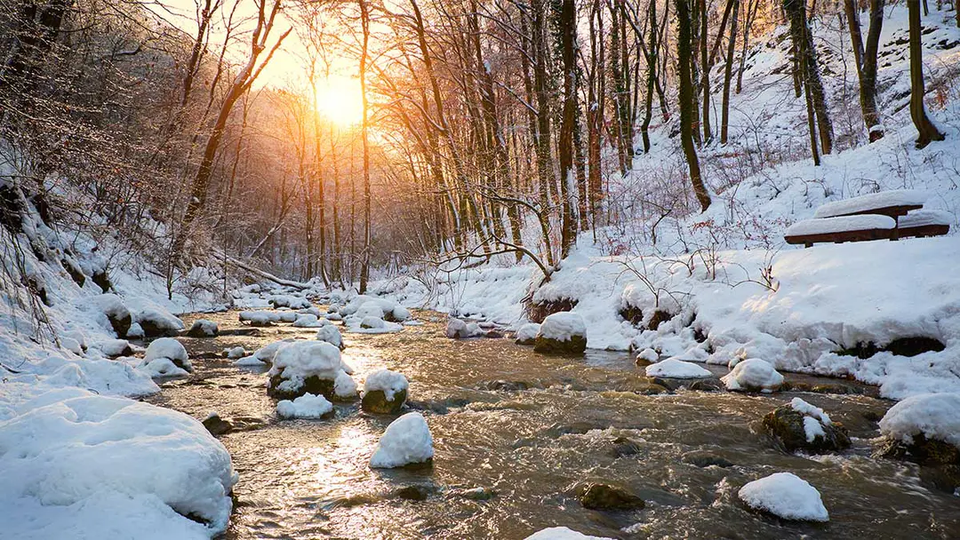 Winter Serenata