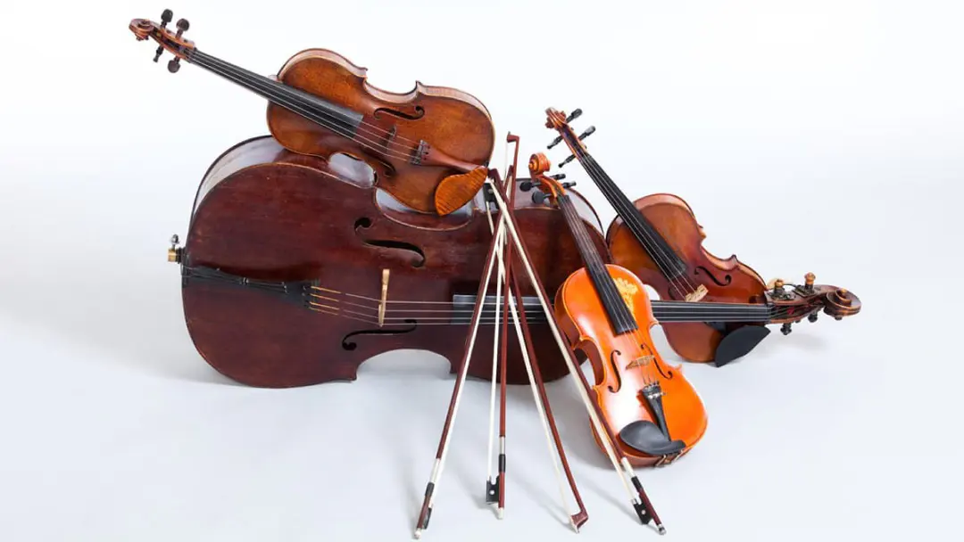 Strings Showcase Concert