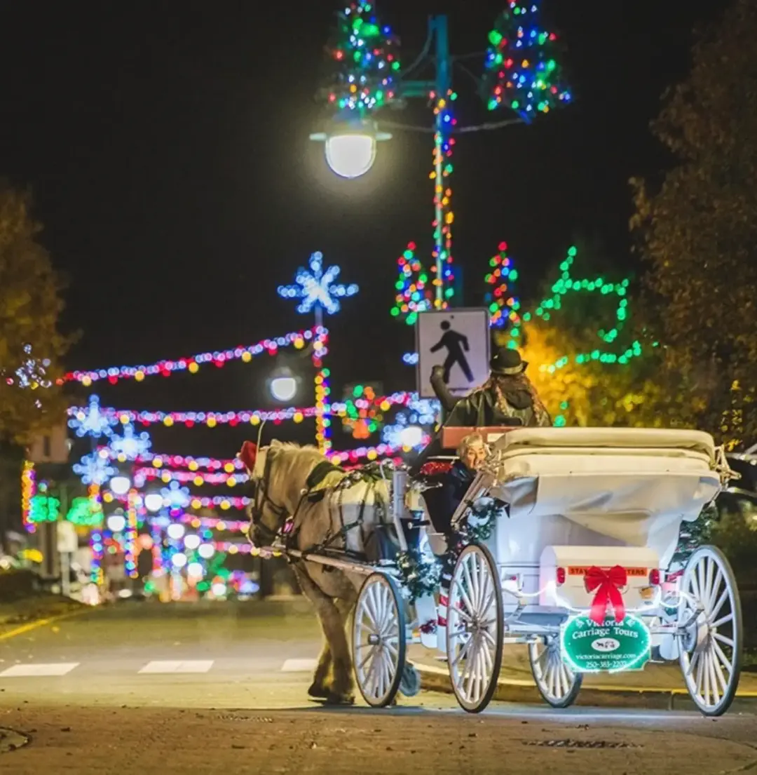 Sidney Sparkles Holiday Parade